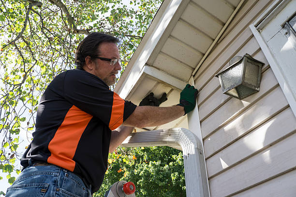 Best Fascia and Soffit Installation  in Wrightwood, CA